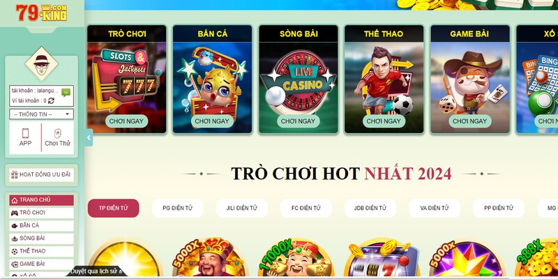 Giới Thiệu Về Dịch Vụ Hỗ Trợ Của 79King2