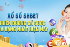 SHBET: Nền Tảng Cá Cược Trực Tuyến Toàn Diện