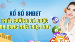 SHBET: Nền Tảng Cá Cược Trực Tuyến Toàn Diện